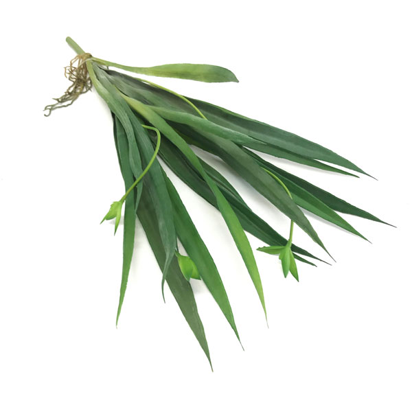 Folhas de Orquídea com Broto Artificial (38cm) - Imagem 3