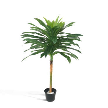 Dracena Artificial (1,16m)