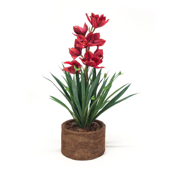 Folhas de Orquídea com Broto Artificial (38cm) - Imagem 2