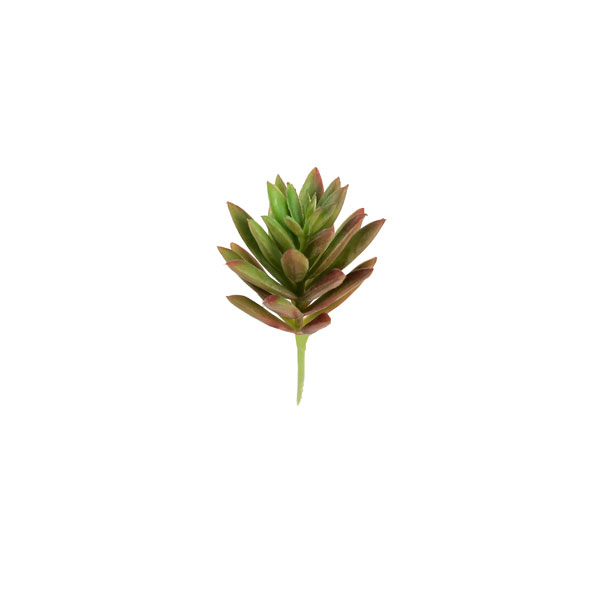 Sedum Suculenta Artificial Mini (10cm) - Imagem 6