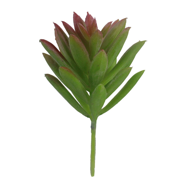 Sedum Suculenta Artificial Mini (10cm) - Imagem 5