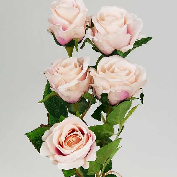 Vaso de Vidro Solitário com Rosas - Água Artificial - Imagem 6