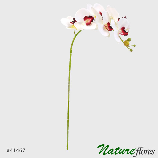 Orquídea Phalaenopsis Artificial 3D 7F (75cm) - Toque Real - Imagem 4