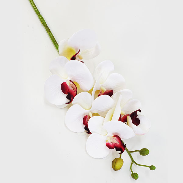 Orquídea Phalaenopsis Artificial 3D 7F (75cm) - Toque Real - Imagem 5