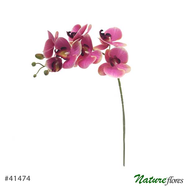 Orquídea Phalaenopsis Artificial 3D 7F (75cm) - Toque Real - Imagem 3