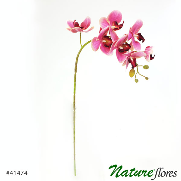Orquídea Phalaenopsis Artificial 3D 7F (75cm) - Toque Real - Imagem 7
