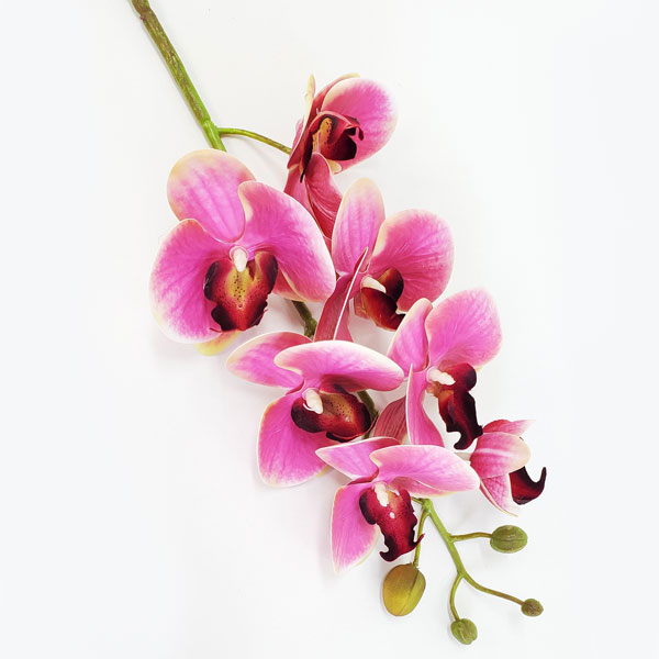 Orquídea Phalaenopsis Artificial 3D 7F (75cm) - Toque Real - Imagem 8