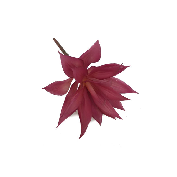 Agave Mini Suculenta Artificial (18cm) - Imagem 8
