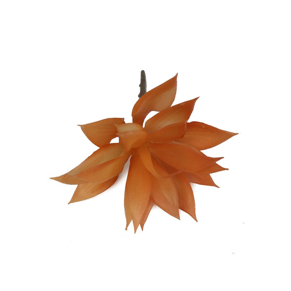 Agave Mini Suculenta Artificial (18cm) - Imagem 12