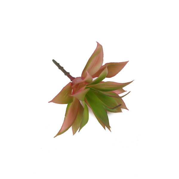 Agave Mini Suculenta Artificial (18cm) - Imagem 14