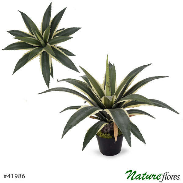 Babosa Planta Suculenta Artificial 20F (50cm) - Imagem 9