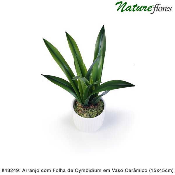 Arranjo com Folha de Cymbidium em Vaso Cerâmico (15x45cm) - Imagem 2
