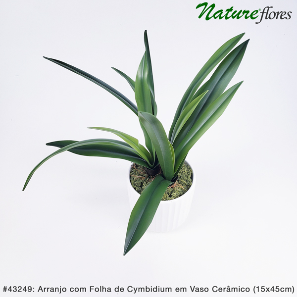 Arranjo com Folha de Cymbidium em Vaso Cerâmico (15x45cm) - Imagem 3