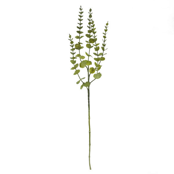 Galho de Eucalipto (70cm)