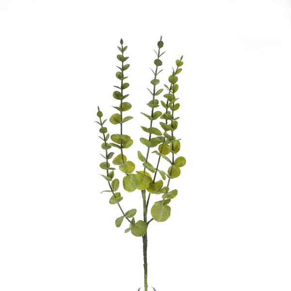 Galho de Eucalipto (70cm) - Imagem 2