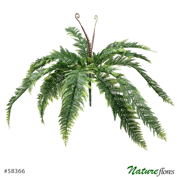 Samambaia Buquê Pendente Artificial 13F (60cm) - Imagem 5