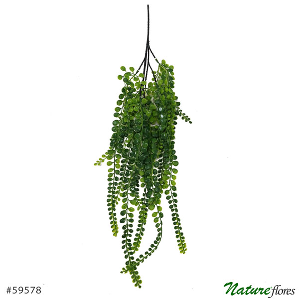 Dinheiro-em-Penca Pendente Artificial 5H (82cm) - Imagem 6