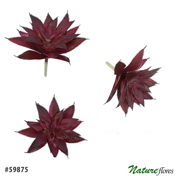 Agave Decora Suculenta Artificial (13cm) - Imagem 6