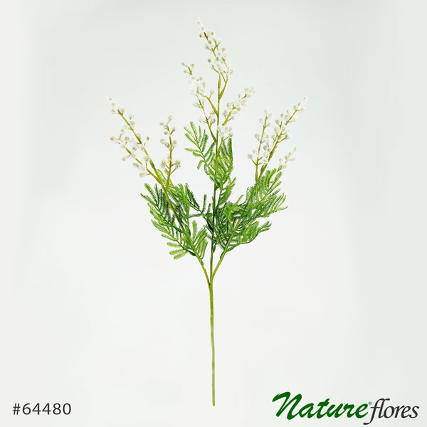 Acacia Galho Flor Artificial (70cm) - Imagem 4
