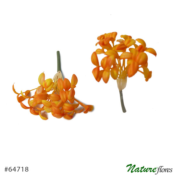 Suculenta Artificial com Broto (15cm) - Imagem 3