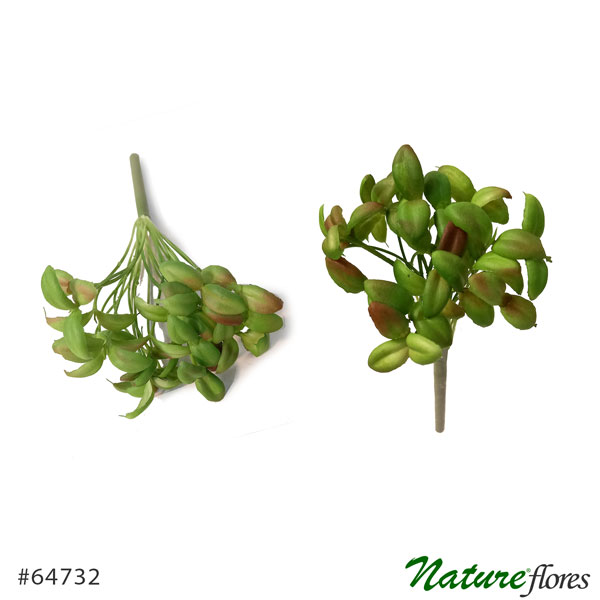 Suculenta Artificial com Broto (15cm) - Imagem 6