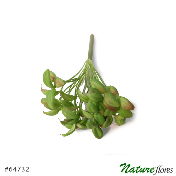 Suculenta Artificial com Broto (15cm) - Imagem 7