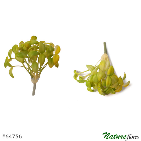 Suculenta Artificial com Broto (15cm) - Imagem 4