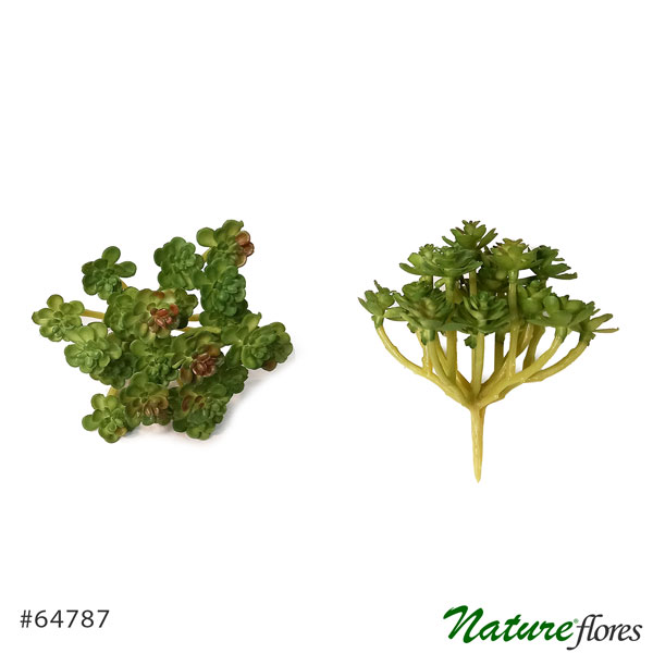 Suculenta Araucaria Artificial (11cm) - Imagem 8