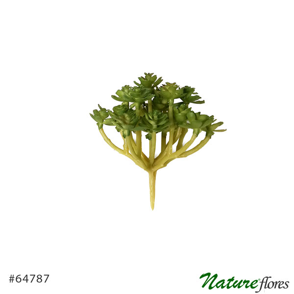 Suculenta Araucaria Artificial (11cm) - Imagem 4