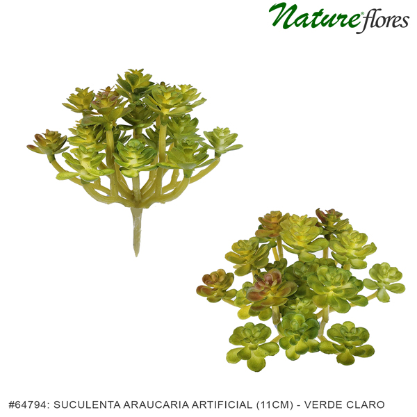 Suculenta Araucaria Artificial (11cm) - Imagem 10