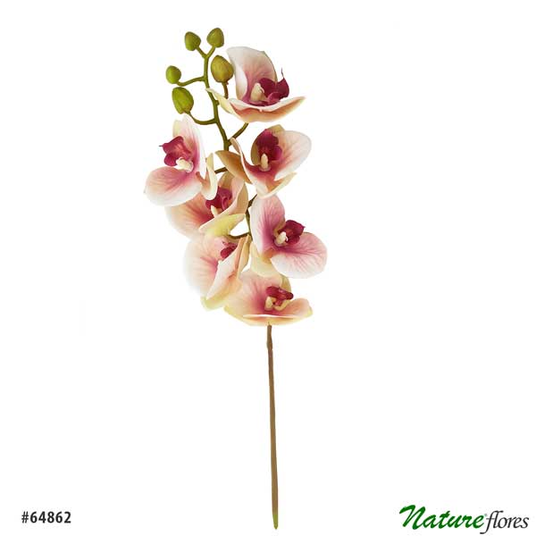 Orquídea Siliconada Galho Artificial 7FL (72cm) - Imagem 5