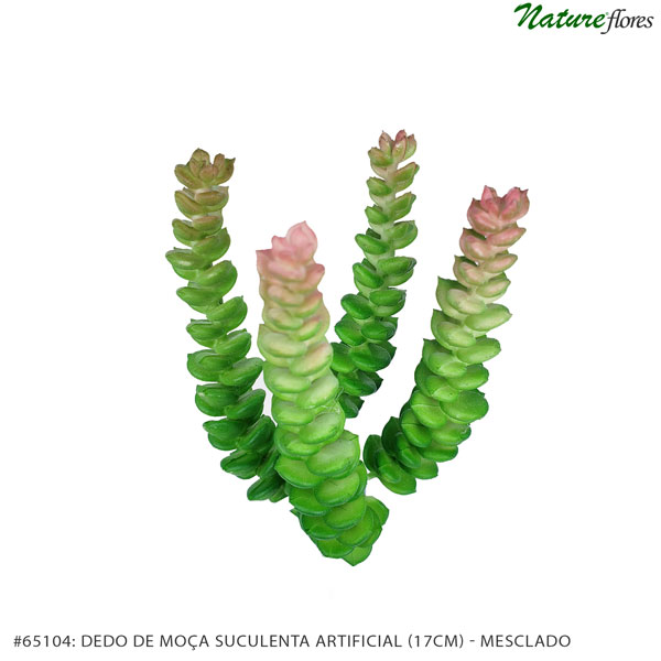 Dedo de Moça Suculenta Artificial (17cm) - Imagem 5