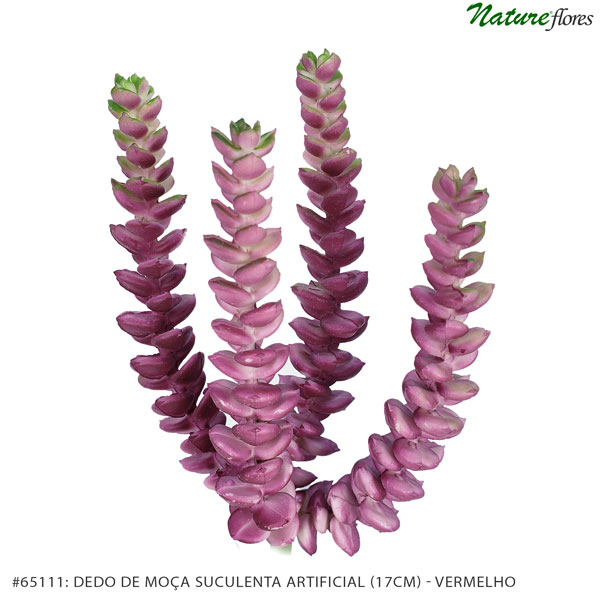 Dedo de Moça Suculenta Artificial (17cm) - Imagem 7