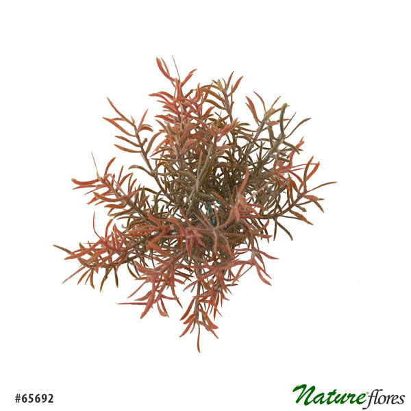 Pick Alecrim Folhagem Artificial 6H (26cm) - mesclado - Imagem 2