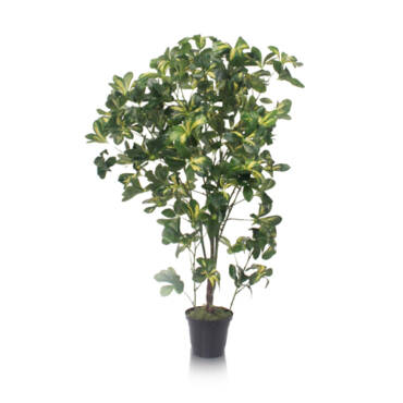 Scheflera Variegata artificial (1,20m)