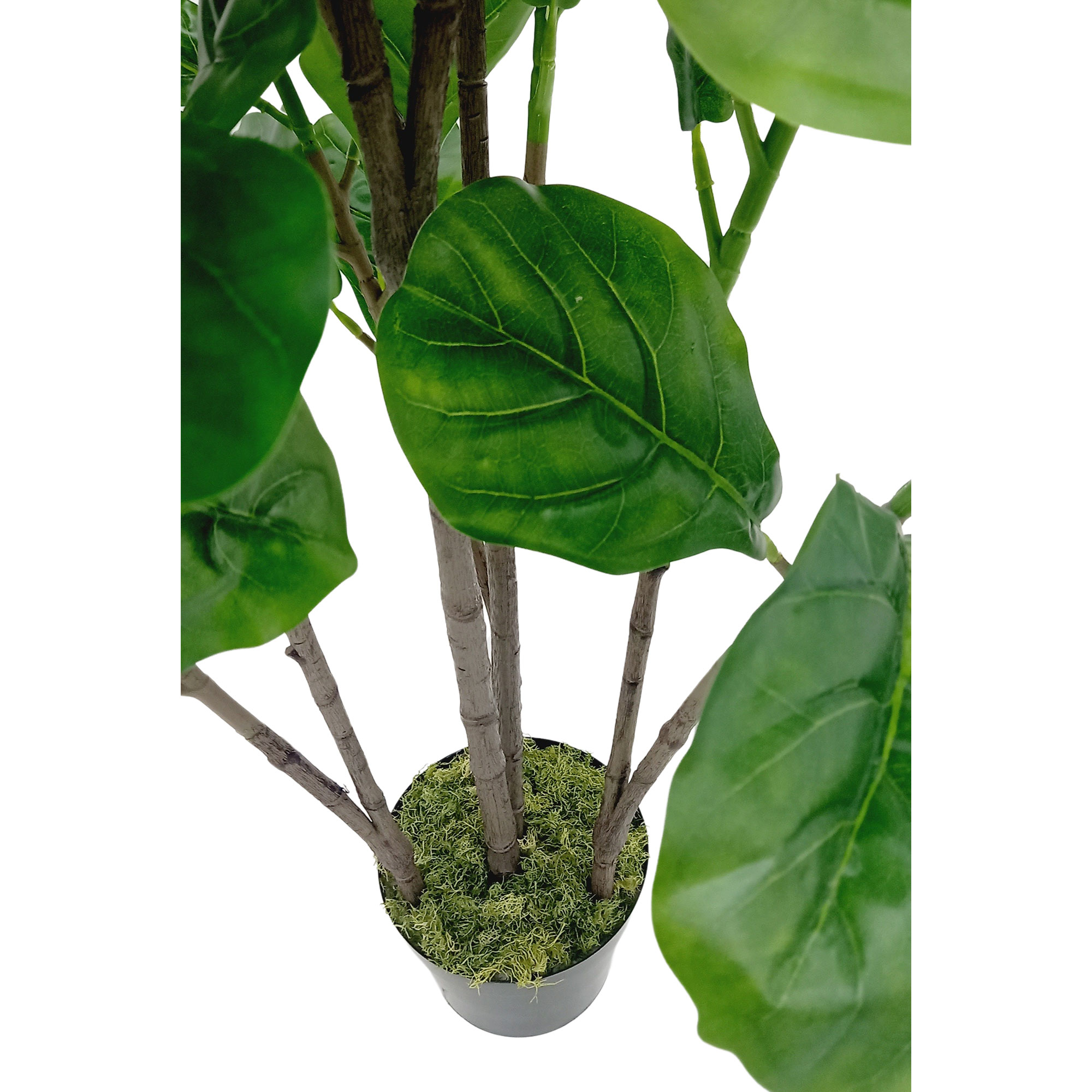 Ficus Lyrata Árvore Artificial (1,20m) - Imagem 5