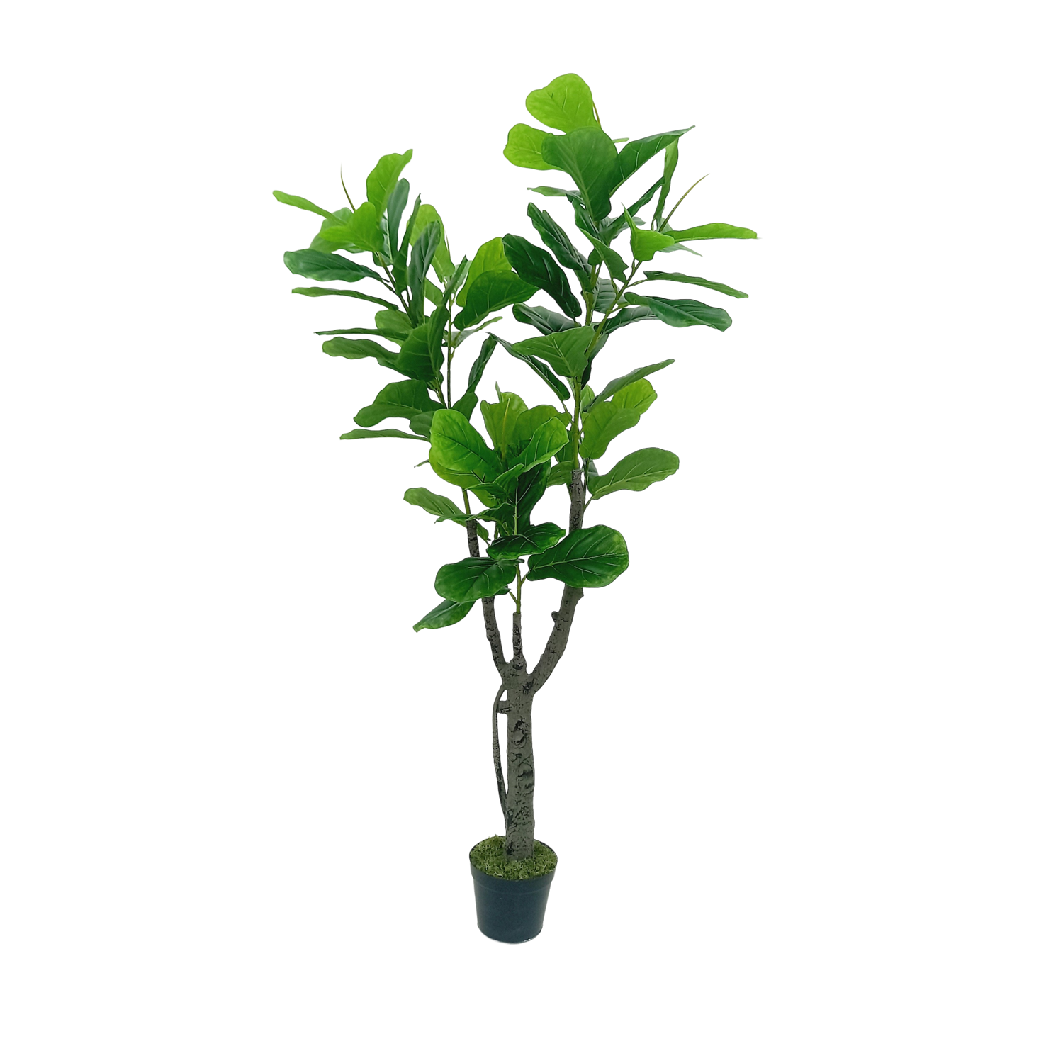 Ficus Lyrata Árvore Artificial (1,20m) - Imagem 6