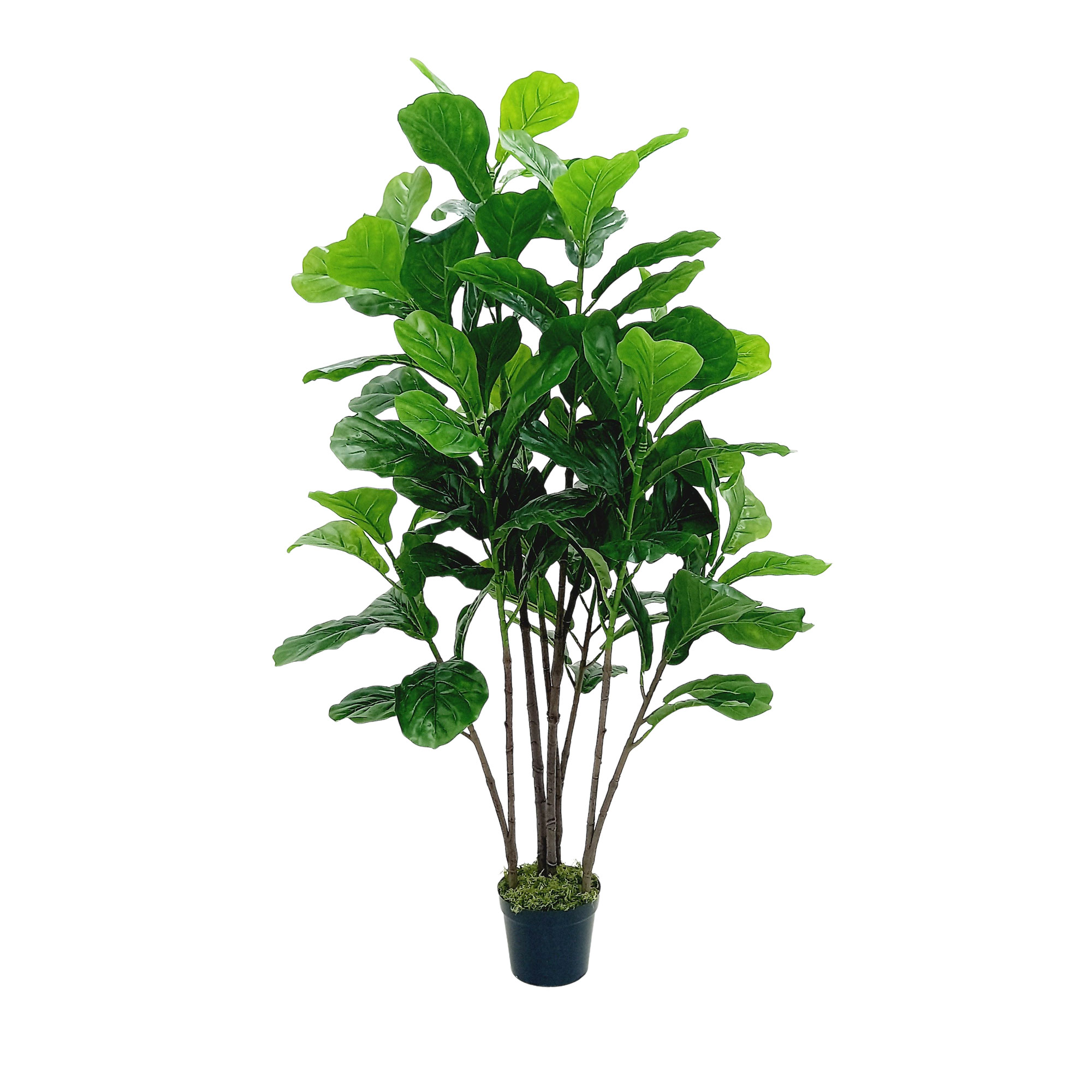 Ficus Lyrata Árvore Artificial (1,20m) - Imagem 4