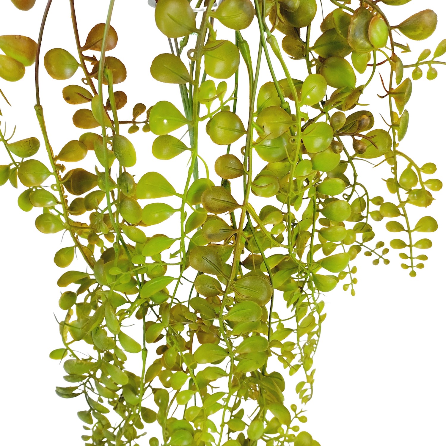 Dólar Folhagem Artificial Pendente (80cm) - Imagem 5