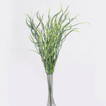 Capim Crespo (49cm)