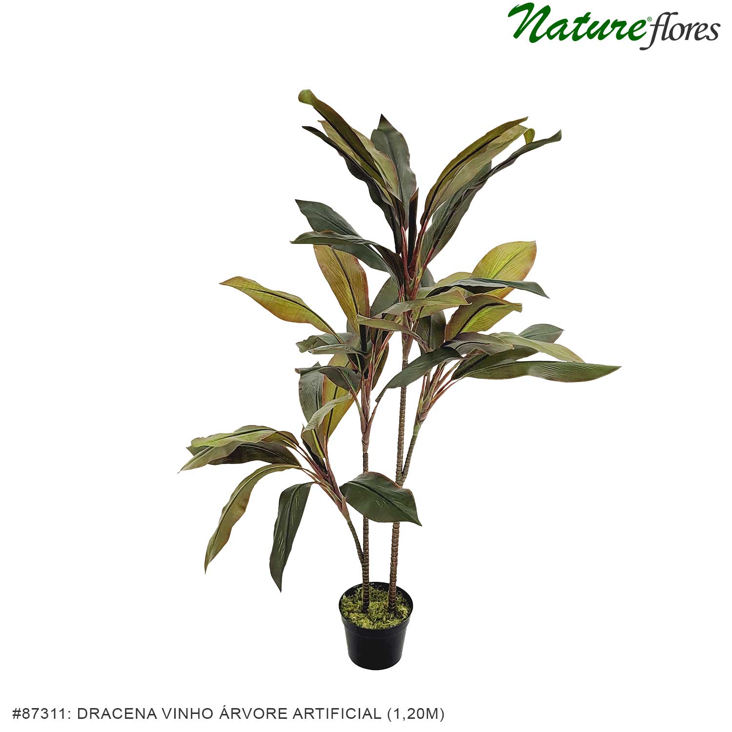 Dracena Vinho Árvore Artificial - Imagem 3
