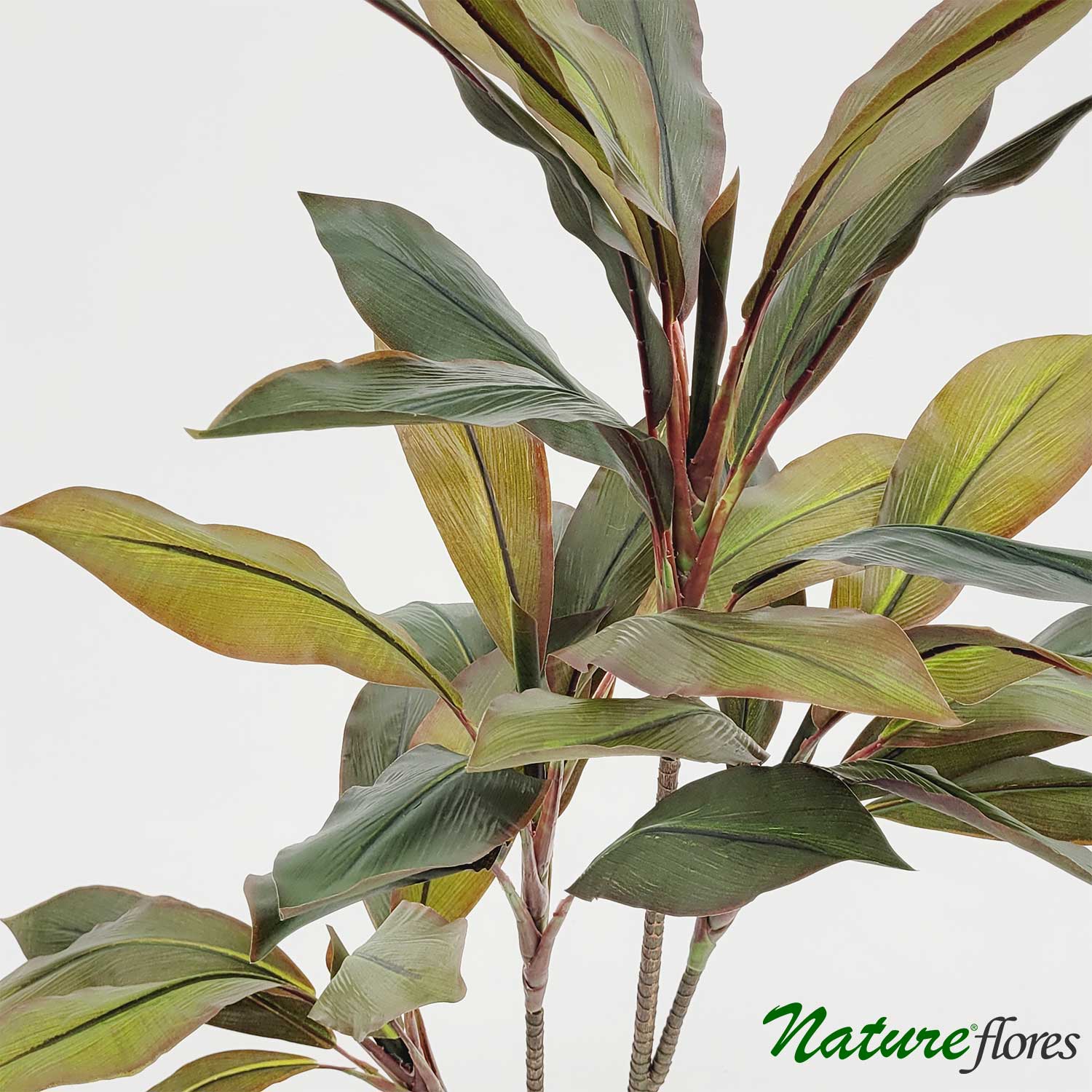 Dracena Vinho Árvore Artificial - Imagem 2