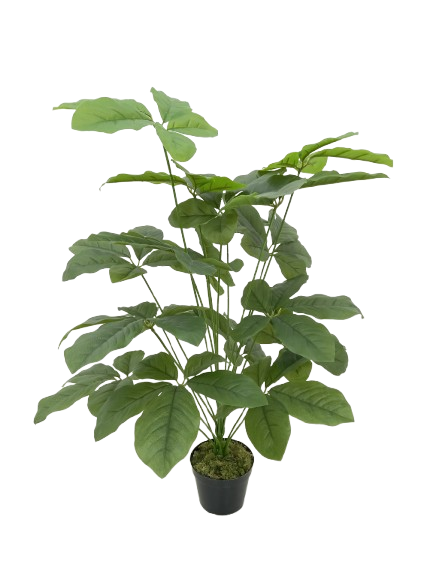 Scheflera Arbusto Artificial (1,00m)