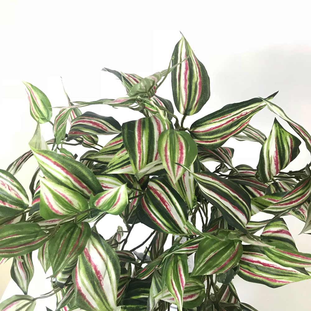 Peperonia Pendente artificial (1,20m) - Imagem 3