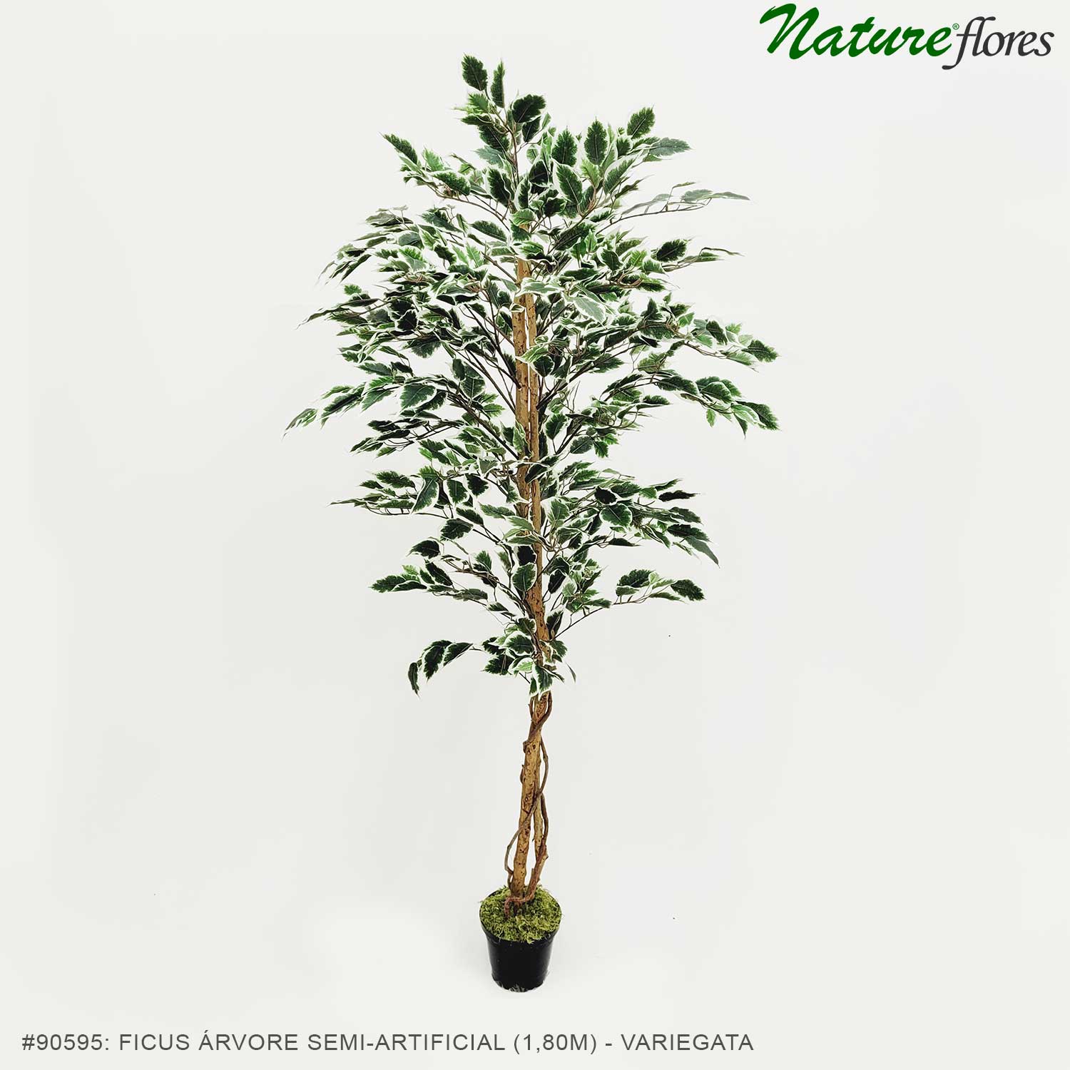 Ficus Árvore Semi-Artificial (1,80m) - Imagem 5