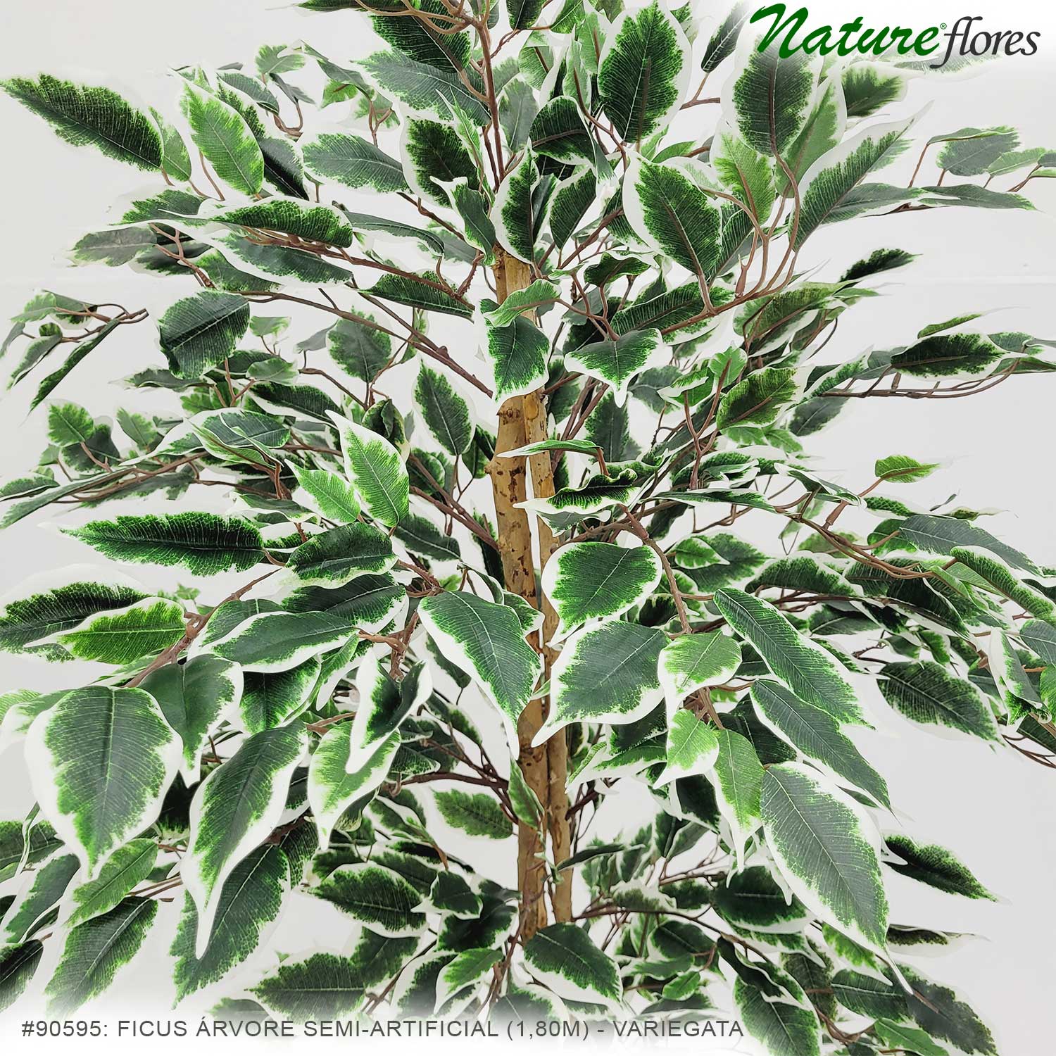 Ficus Árvore Semi-Artificial (1,80m) - Imagem 6