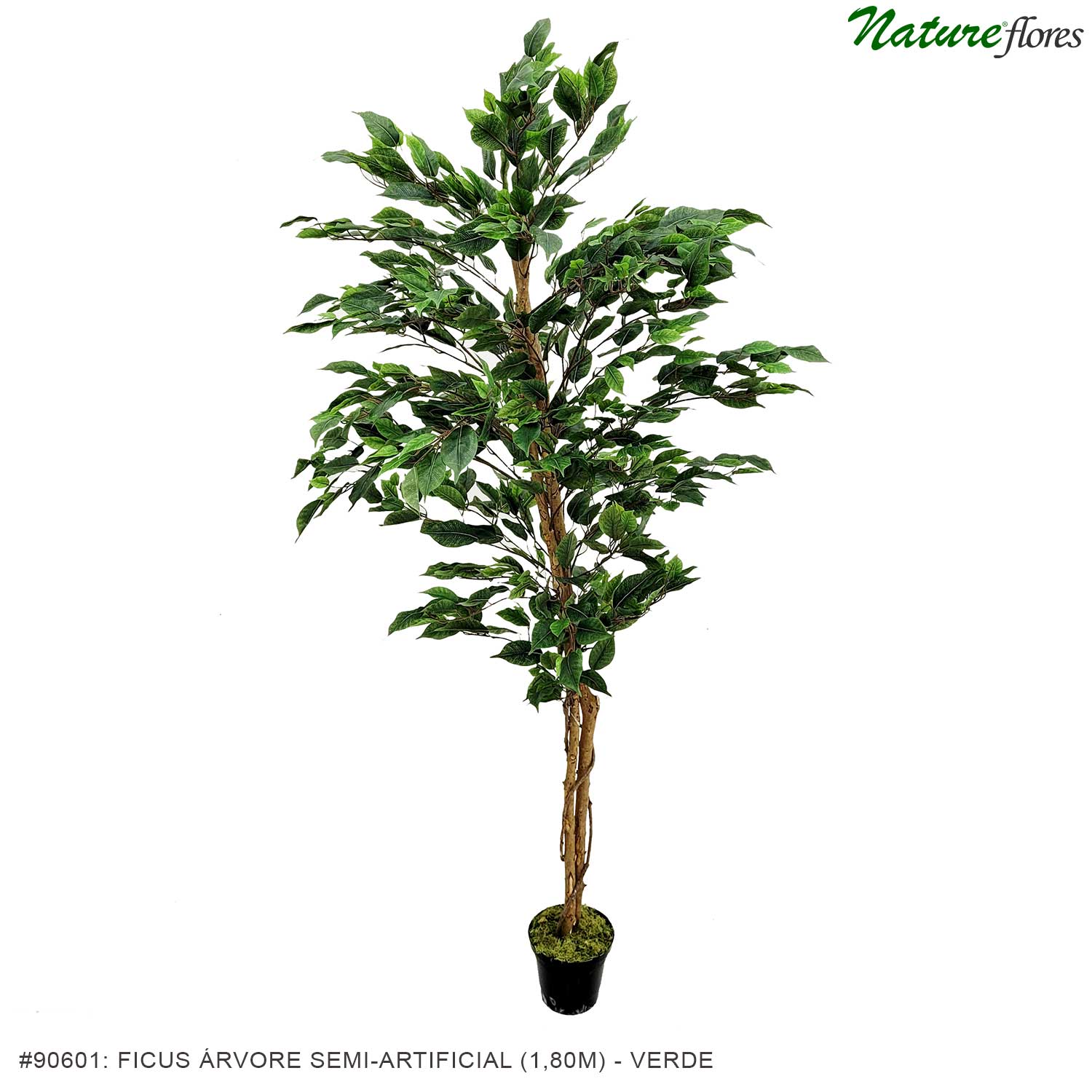 Ficus Árvore Semi-Artificial (1,80m) - Imagem 7