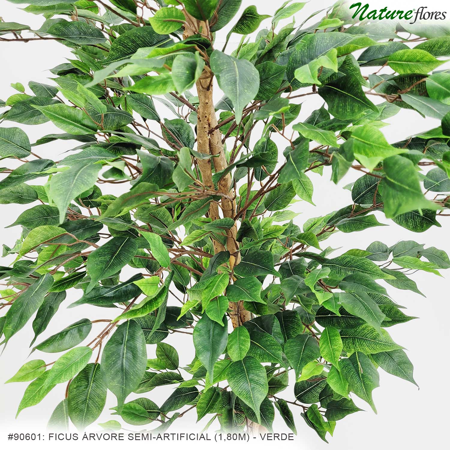 Ficus Árvore Semi-Artificial (1,80m) - Imagem 8