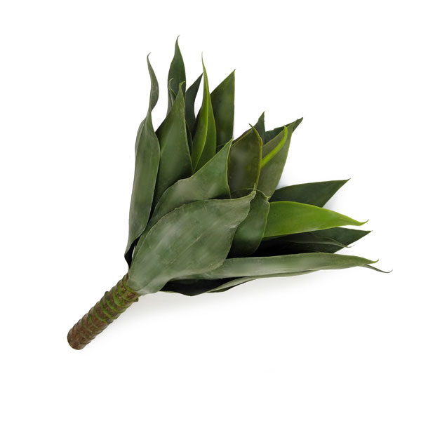 Agave Attenuata Suculenta Artificial (40cm) - Imagem 6