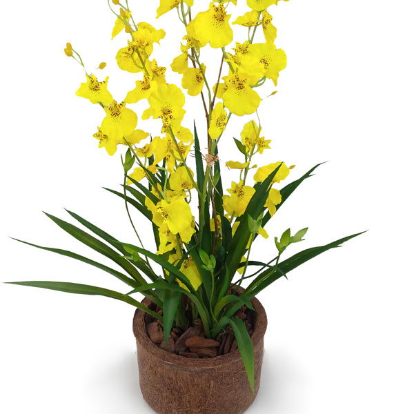 Arranjo de Flor Chuva de Ouro Artificial em Vaso (60cm) - Imagem 2